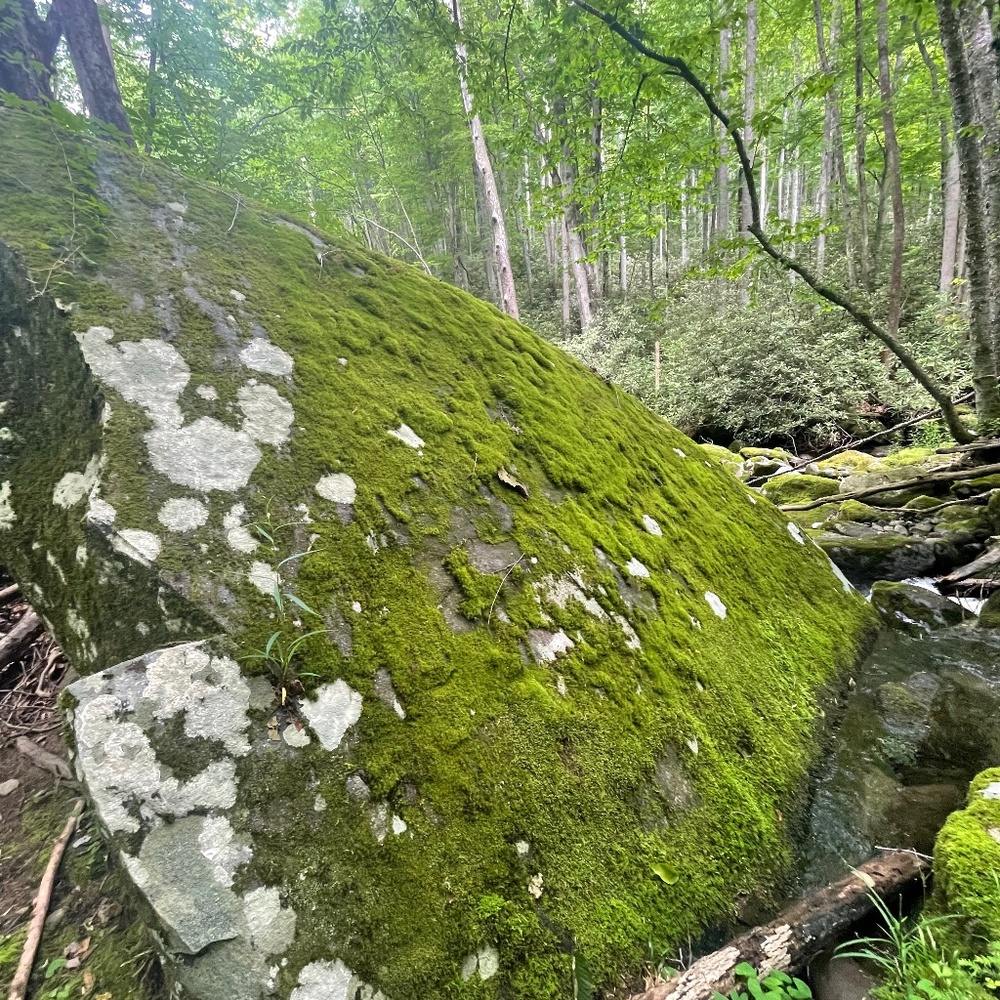 Meet your Posher, Deborah